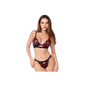 Ensemble sexy 2 pièces en résille transparente brodée et string 